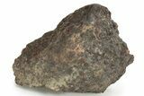 Chondrite Meteorite ( grams) - Western Sahara Desert #232931-1